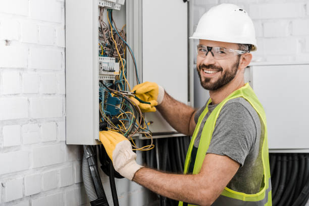 Best Ceiling Fan Installation Electrician  in Deltana, AK