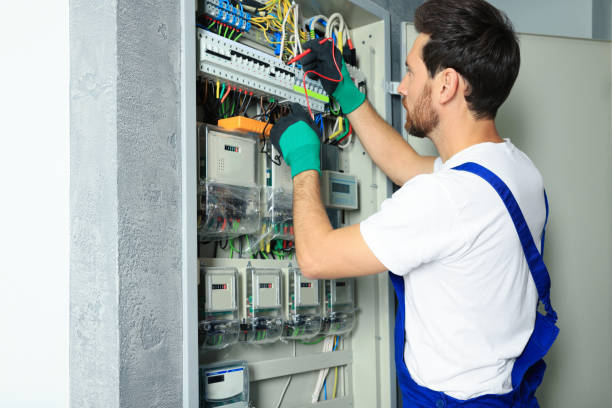 Best Electrical System Inspection  in Deltana, AK