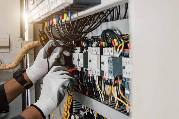 Best Local Electrician Companies  in Deltana, AK